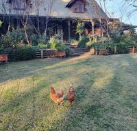Angaston by the Winter Creek - Accommodation Daintree