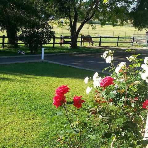 Appin Homestay B & B - Accommodation Daintree 3