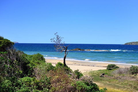 Aqualuna Beach Resort - Unit 25 - Accommodation Daintree 3