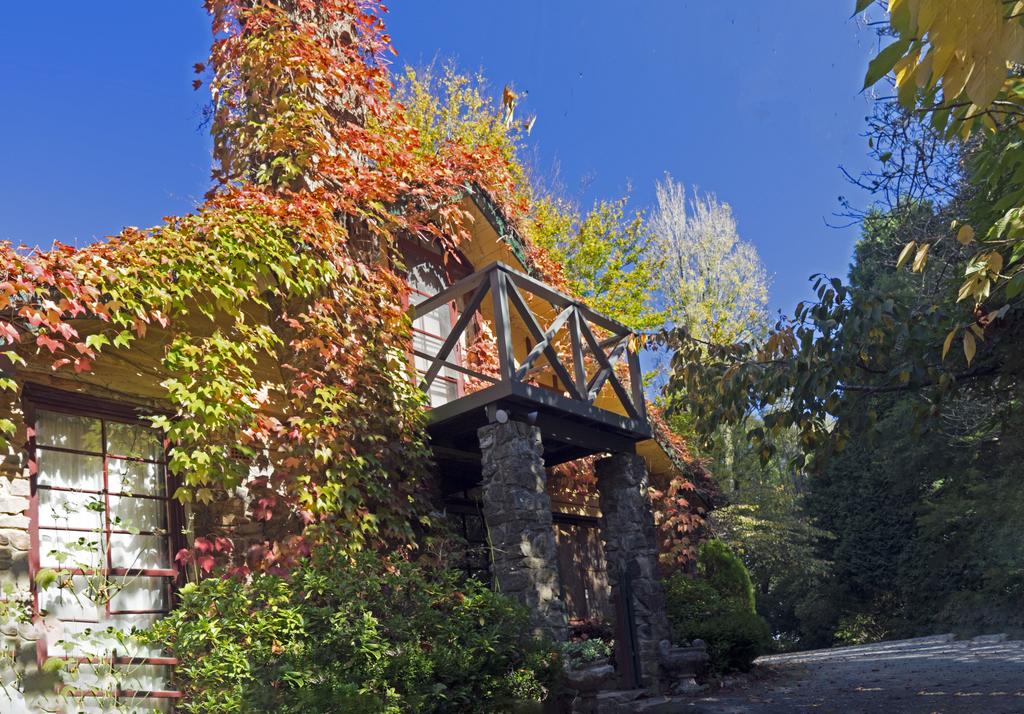 Mount Dandenong VIC Accommodation Daintree