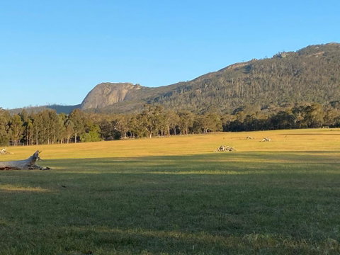 Manyat Peak Cottages Boobook - Accommodation Daintree 0