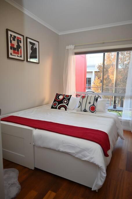 Mawson Red - Free Pool Access -Onsite Parking-Netflix-5 Mins To Mawson Interchange - Accommodation Daintree 3