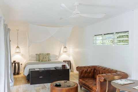 Mist At Cape Tribulation - Accommodation Daintree 1