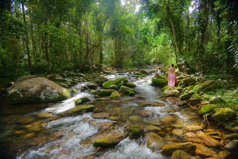 Misty Mountains Hideaway - Accommodation Daintree 0