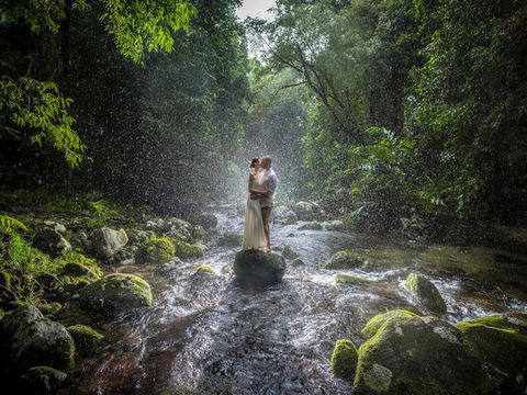 Misty Mountains Hideaway - Accommodation Daintree 3
