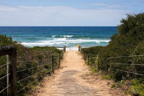 Mona Vale Surf To Tee - Accommodation Daintree 1