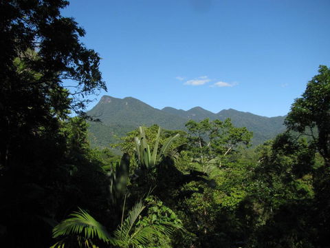 Mossman Gorge Bed And Breakfast - Accommodation Daintree 0