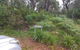 Mountain Tranquility - thumb 3
