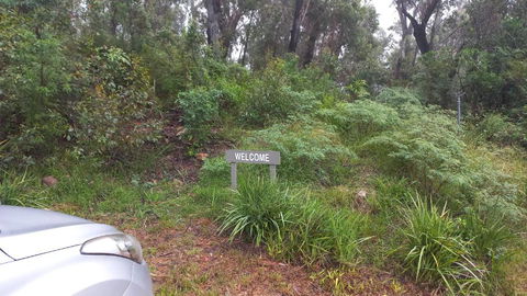Mountain Tranquility - Accommodation Daintree 3