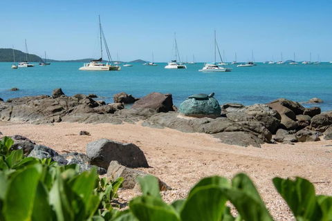 NEW! Gorgeous 2BR Apartment With Stunning Ocean Views! - Accommodation Daintree 1