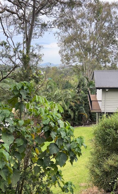 New - Our Treehouse Near Alex Beach - Accommodation Daintree 2