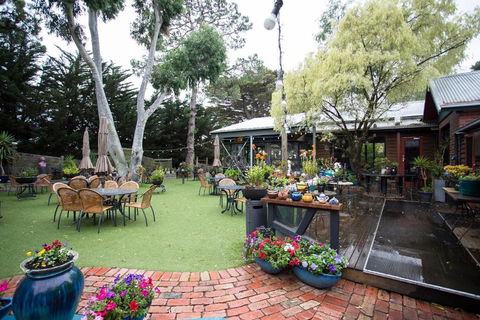 Oakdene Vineyards Guesthouse - Accommodation Daintree 1