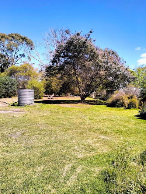 Peaceful Pet Friendly 1 Bedroom Cottage On 1 Acre - Accommodation Daintree 3