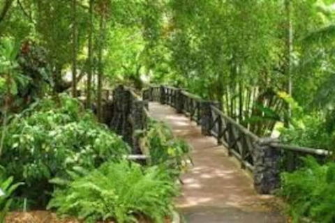 Paddington Pad With Back Deck And Free Car Space Close To Suncorp - Accommodation Daintree 2