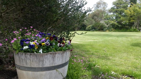 Padthaway Caravan Park - Accommodation Daintree 0