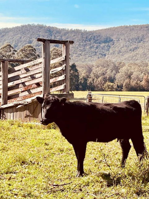 Peppercorns Riverside Farm Stay - Accommodation Daintree 0