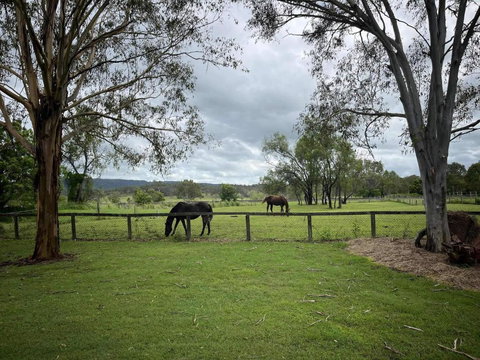 Petama By Tiny Away - Accommodation Daintree 1