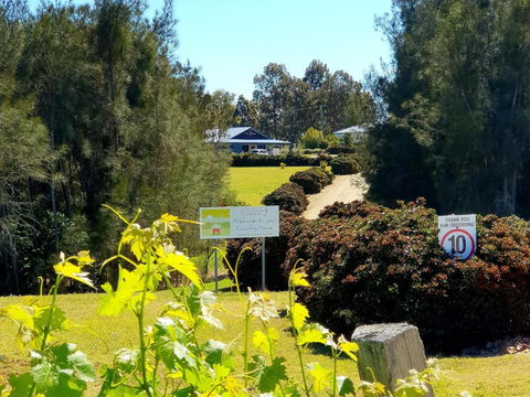 Red Door Collective - RDC Vineyard Estate, Luxury Adult Only Stay - Accommodation Daintree 0