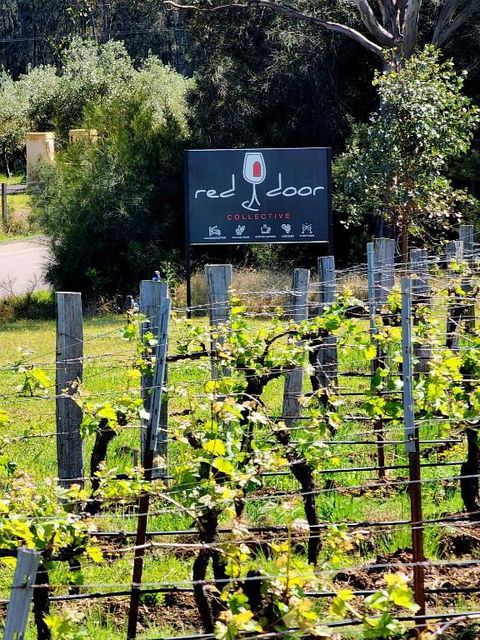 Red Door Collective - RDC Vineyard Estate, Luxury Adult Only Stay - Accommodation Daintree 1