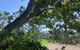 Potters Cottage - thumb 3