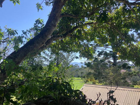 Potters Cottage - Accommodation Daintree 3