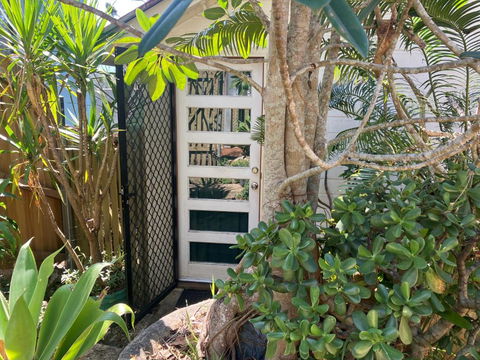 Potters Cottage - Accommodation Daintree 2