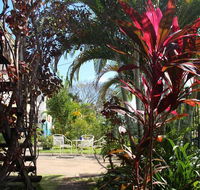 Asylum Cairns Hostel - Accommodation Daintree