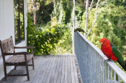 At Riverside - Accommodation Daintree 3