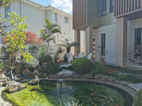 Attached Self Service Waterfront Whole Villa - Sydney - Accommodation Daintree 1