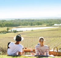 Audrey Wilkinson Vineyard - Accommodation Daintree