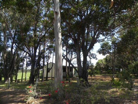 Augusta Chalet - Accommodation Daintree 2