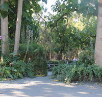 Avoca Park - Accommodation Daintree