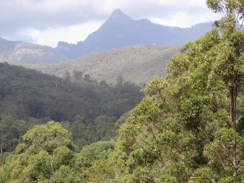 Babbling Brook Retreat - Accommodation Daintree 2