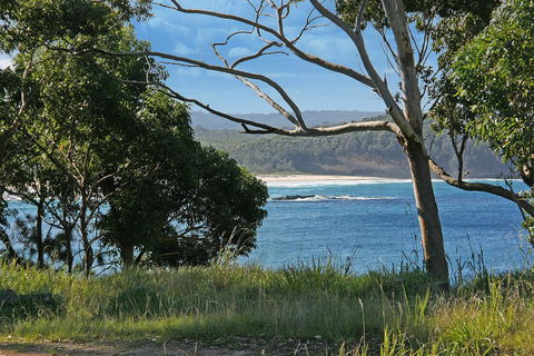 Bannister 49 - Neptune's Way - Accommodation Daintree 1