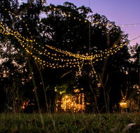 Banyan Tree - Accommodation Daintree