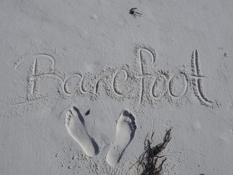Barefoot Beach House - Accommodation Daintree 0