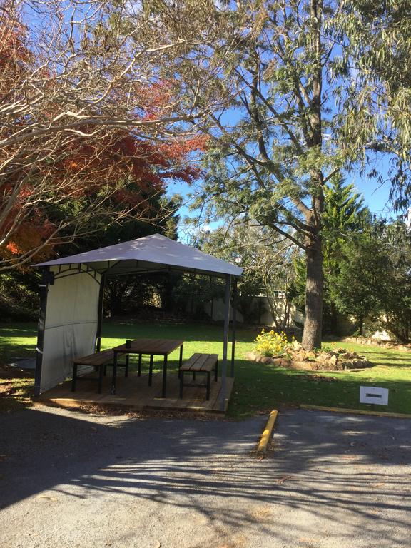 Avon NSW Accommodation Daintree