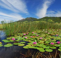 Barrington Hideaway- River Cottages - Accommodation Daintree