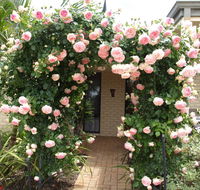 Baudins of Busselton Bed and Breakfast - Accommodation Daintree