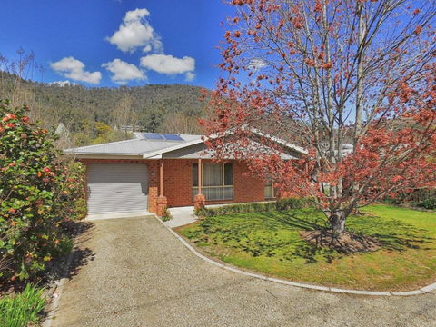 Right In Bright - Accommodation Daintree 1
