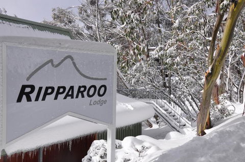 Ripparoo Lodge - Accommodation Daintree 0