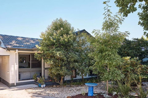 Rose Cottage - Right In Town - Accommodation Daintree 1