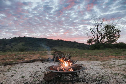 Rose Quartz - 1 Bed With Mountain Views - Kundalini Lodge - Accommodation Daintree 0