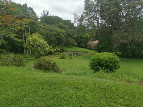 Rural Escape - Accommodation Daintree 0