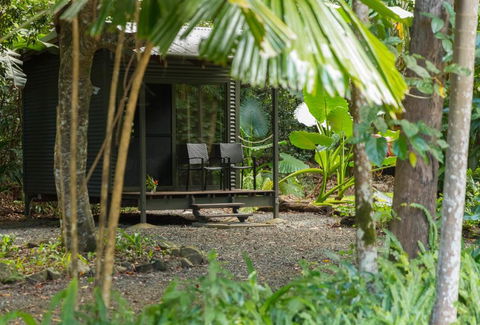 Safari Lodge - Accommodation Daintree 2