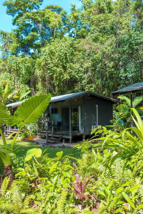 Safari Lodge - Accommodation Daintree 0