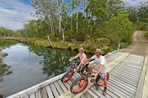 Saintys Creek Cottage - Accommodation Daintree 2