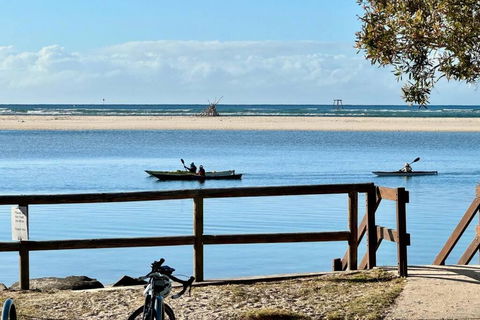 Sand Bars - Spacious, Beach, Pets - Accommodation Daintree 2