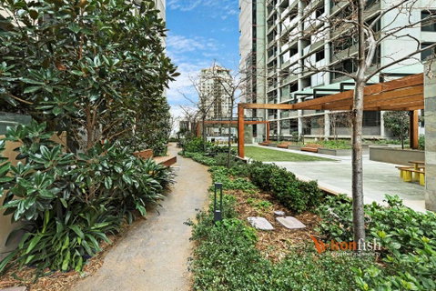 Sakura Apartment - Accommodation Daintree 3