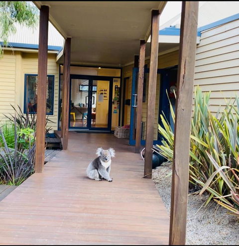 Sandpiper Motel Apollo Bay - Accommodation Daintree 3